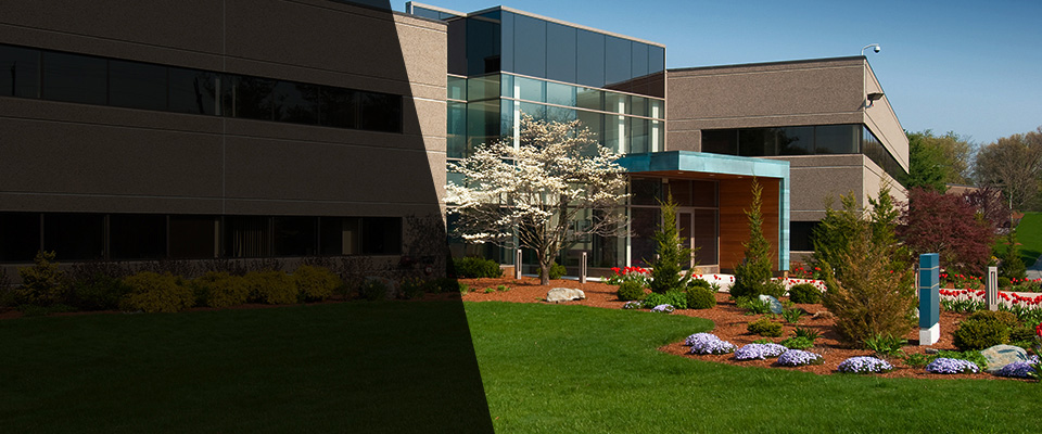 Almont Landscapers