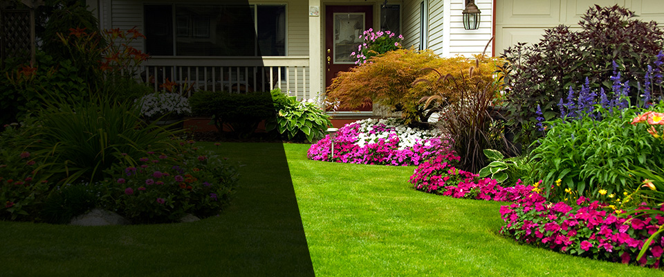 Almont Landscapers