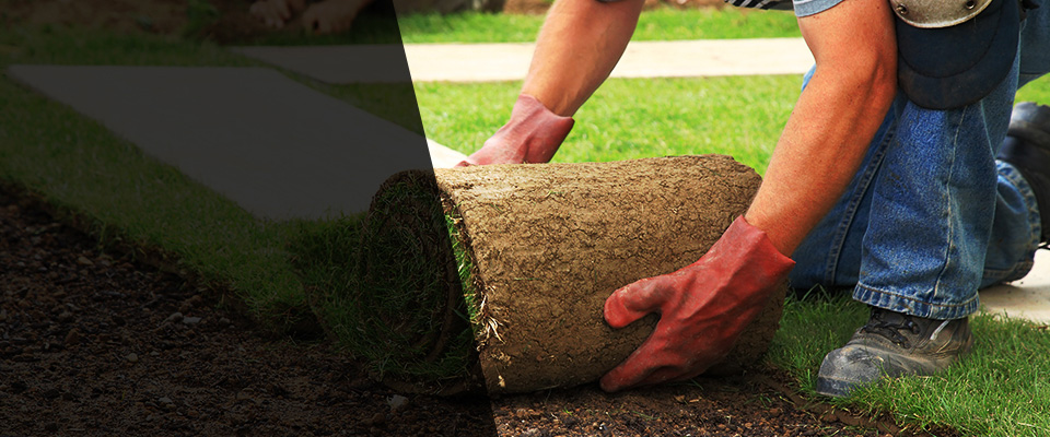 Almont Landscapers